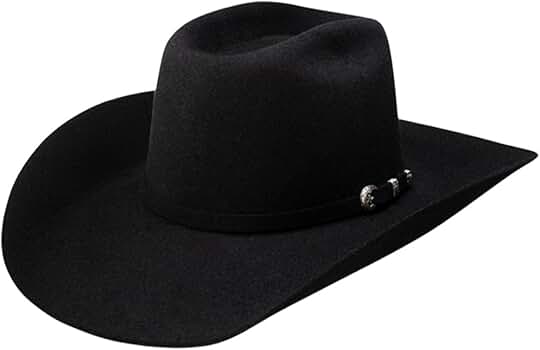 Amazon.com: RESISTOL Unisex The Sp 6X Felt Cowboy Hat
